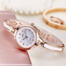 Ceas dama model 2018, mecanism quartz, curea din aliaj, stil Fashion